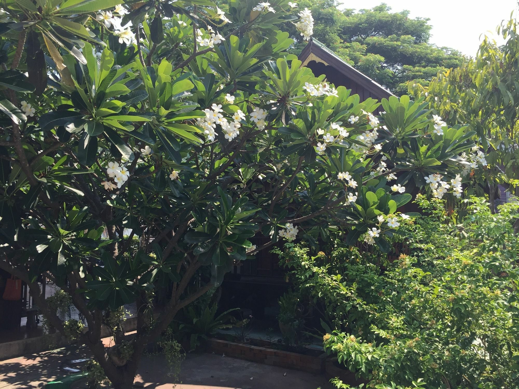 Baan Kong Gasthof